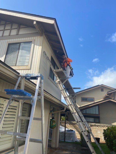 Man Standing On The Ladder | Oahu, HI | Clinton’s Painting