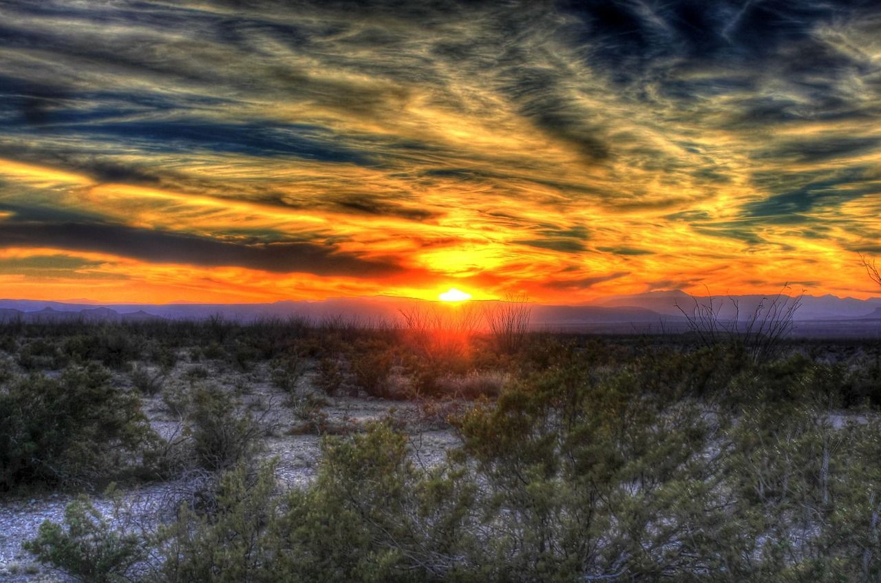 picture of texas landscape