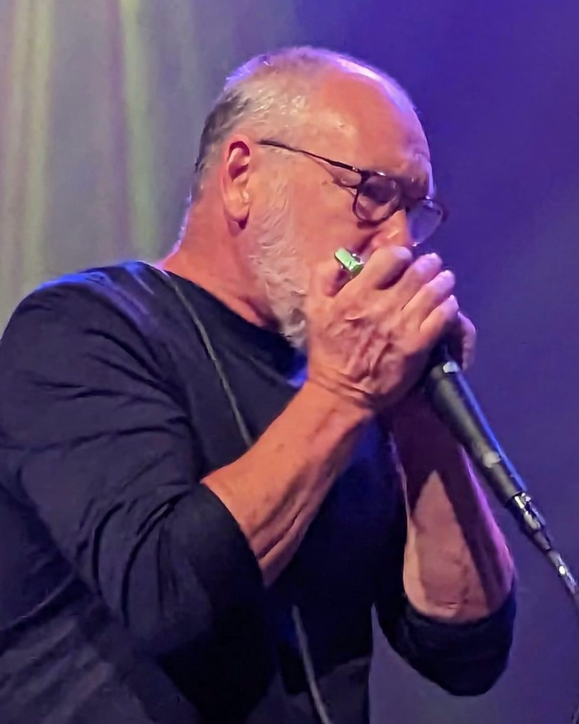 Man playing harmonica into a microphone under purple stage lighting