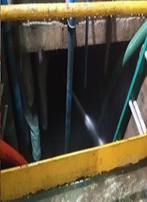 Recolección
