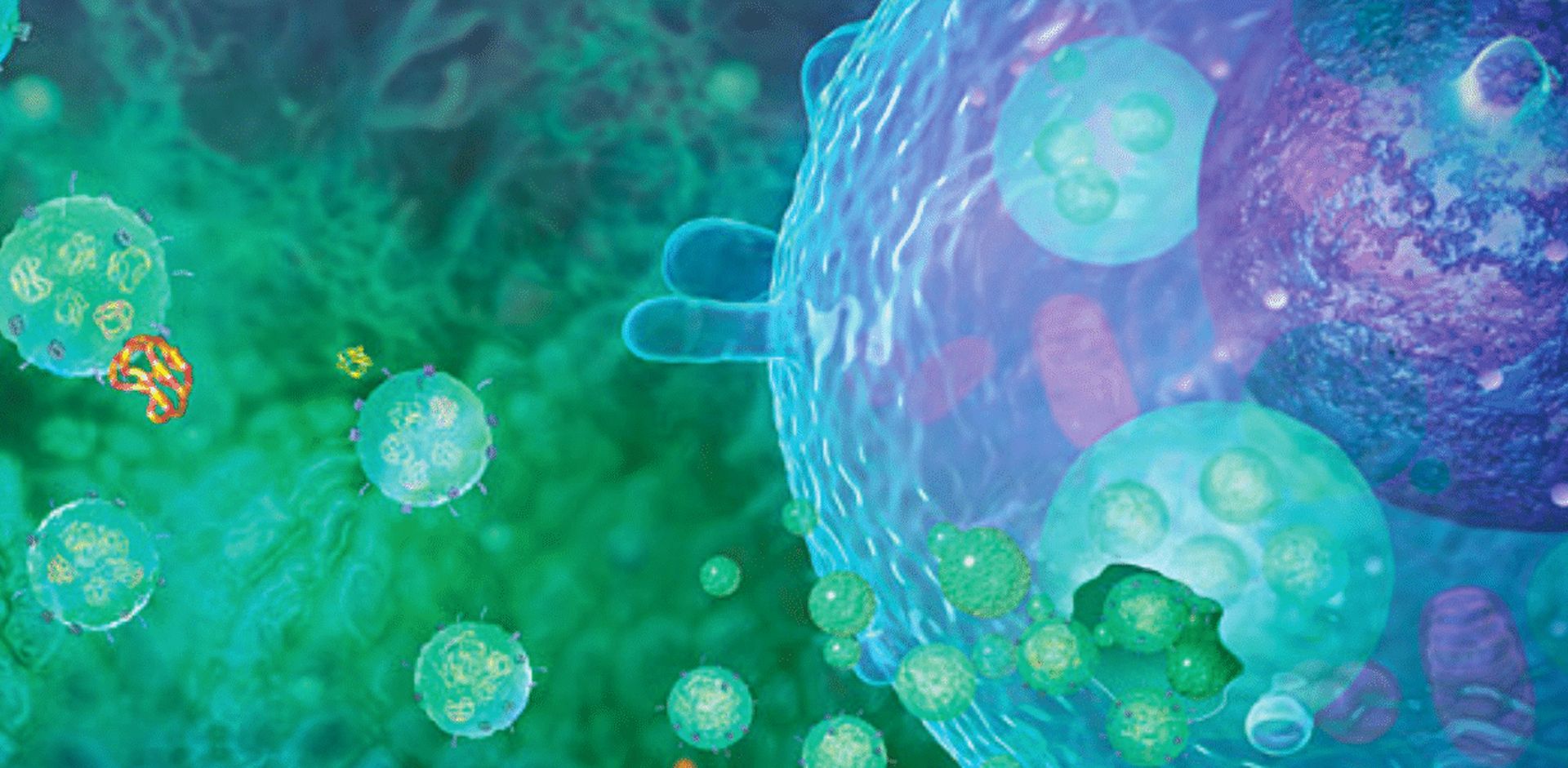 a computer generated image of a cell surrounded by bacteria .