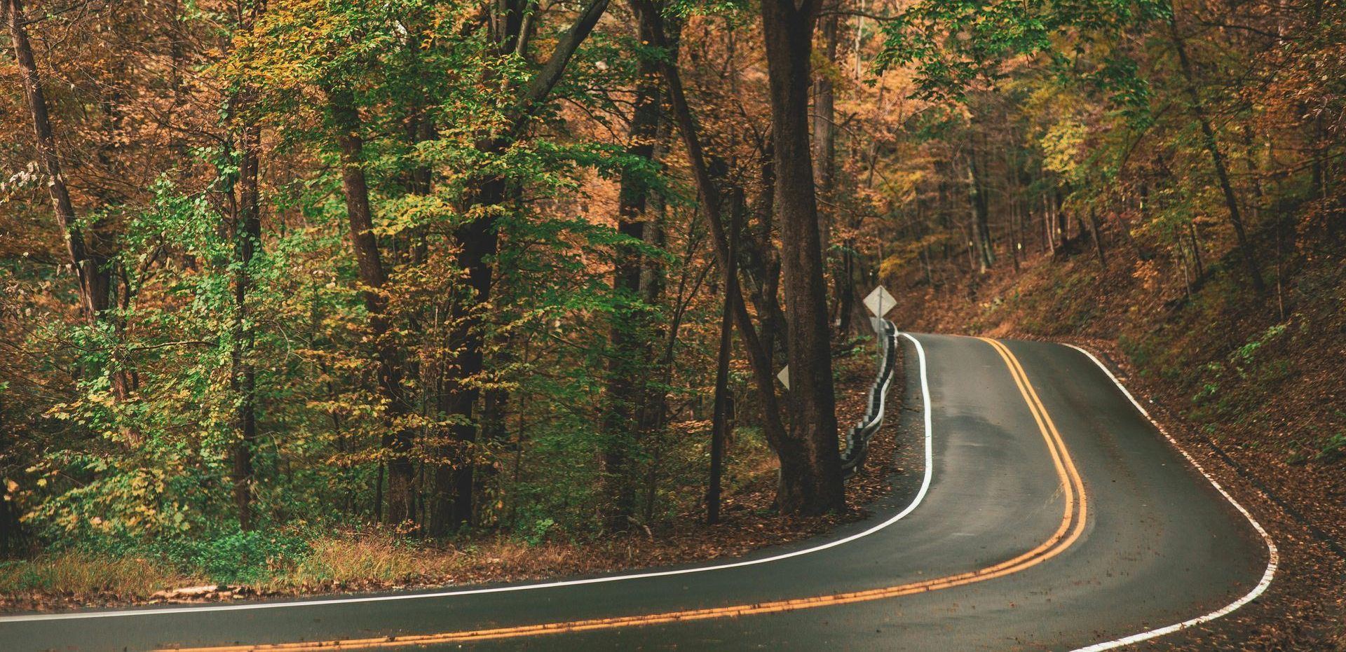 Winding asphalt road curves through autumn forest with colorful trees.