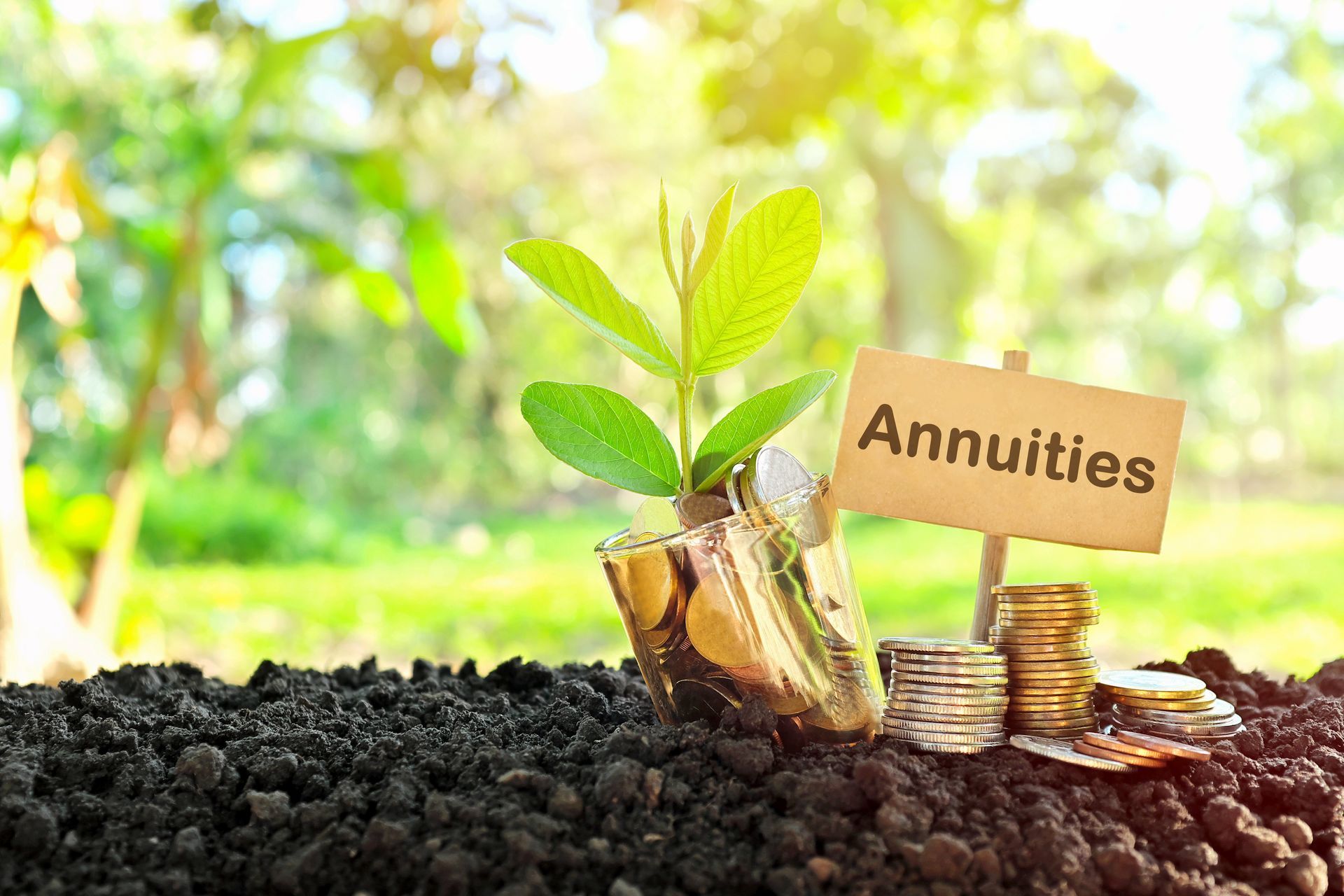 A plant growing in a jar with coins, next to a sign that says
