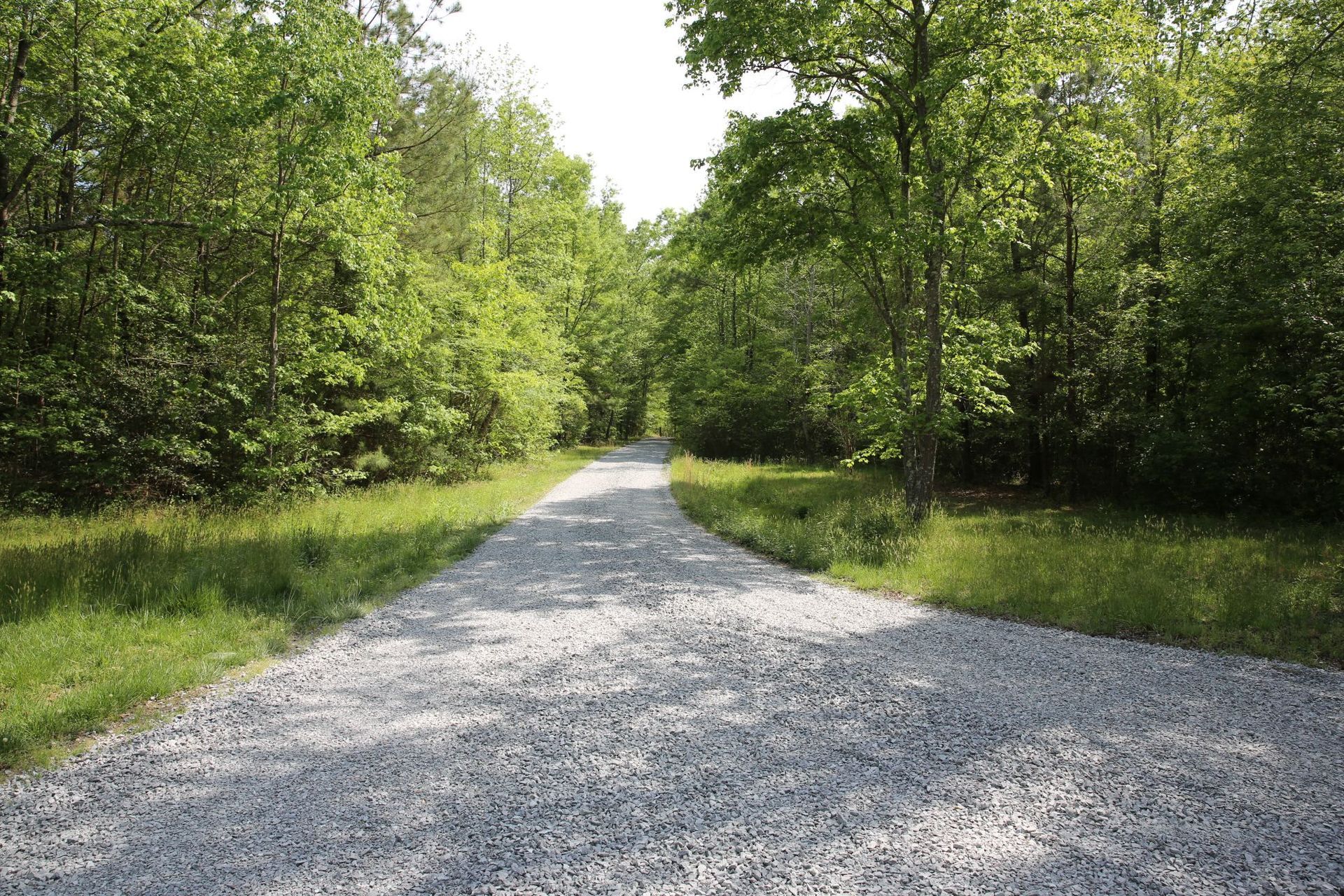 Gravel road curving through a green wooded area under bright daylight