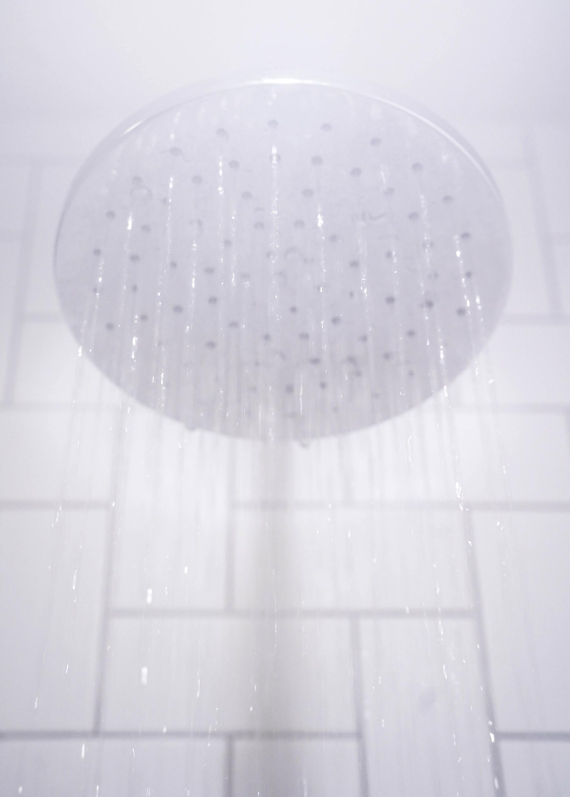 shower head