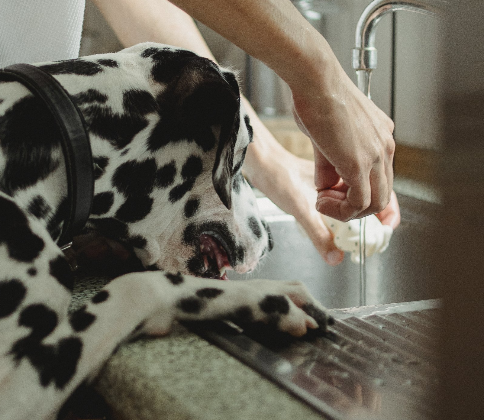 drinking water