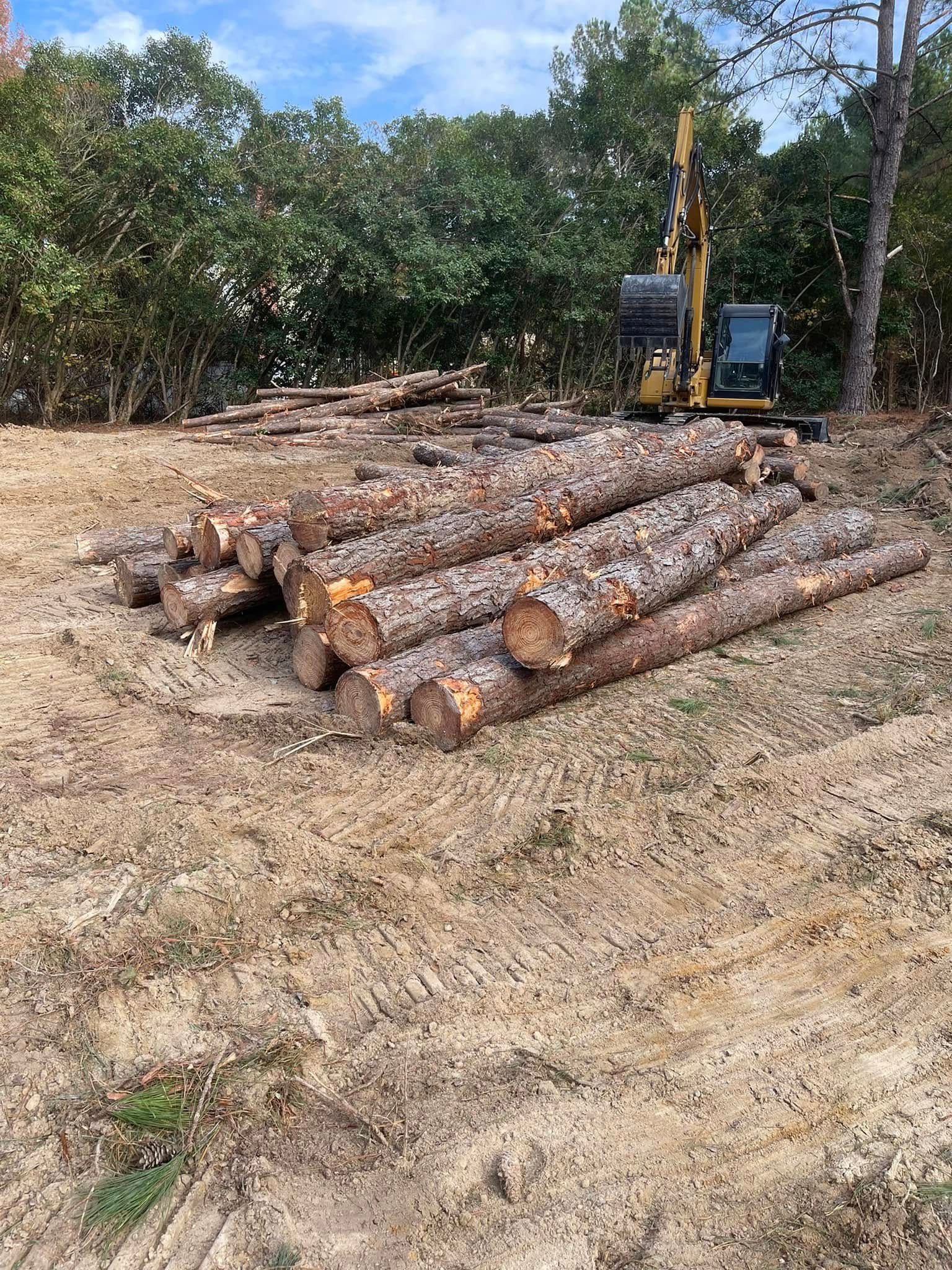 Stacked logs beside a yellow excavator in a cleared wooded area under a blue sky