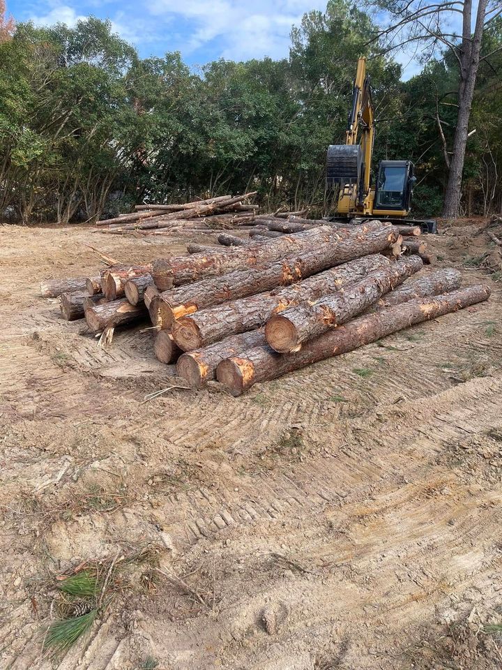 Stacked logs in a clearing with a yellow logging machine in the background.