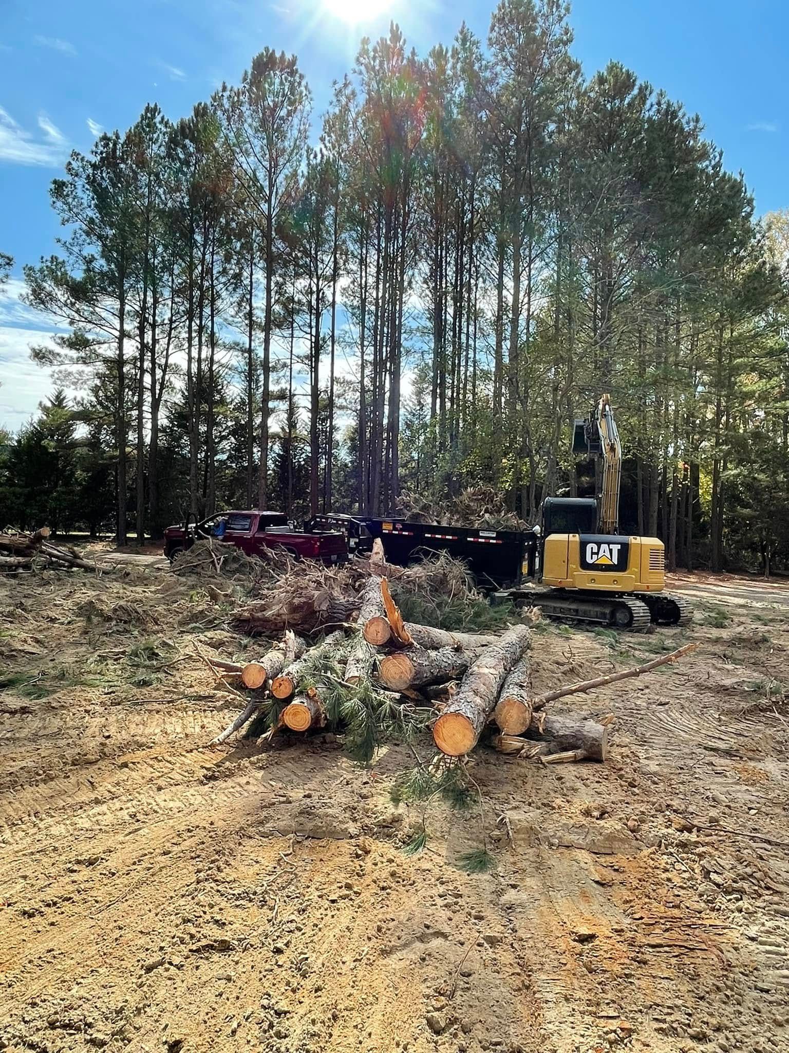 Cleared dirt lot with cut logs, a small excavator, and tall trees under a sunny sky