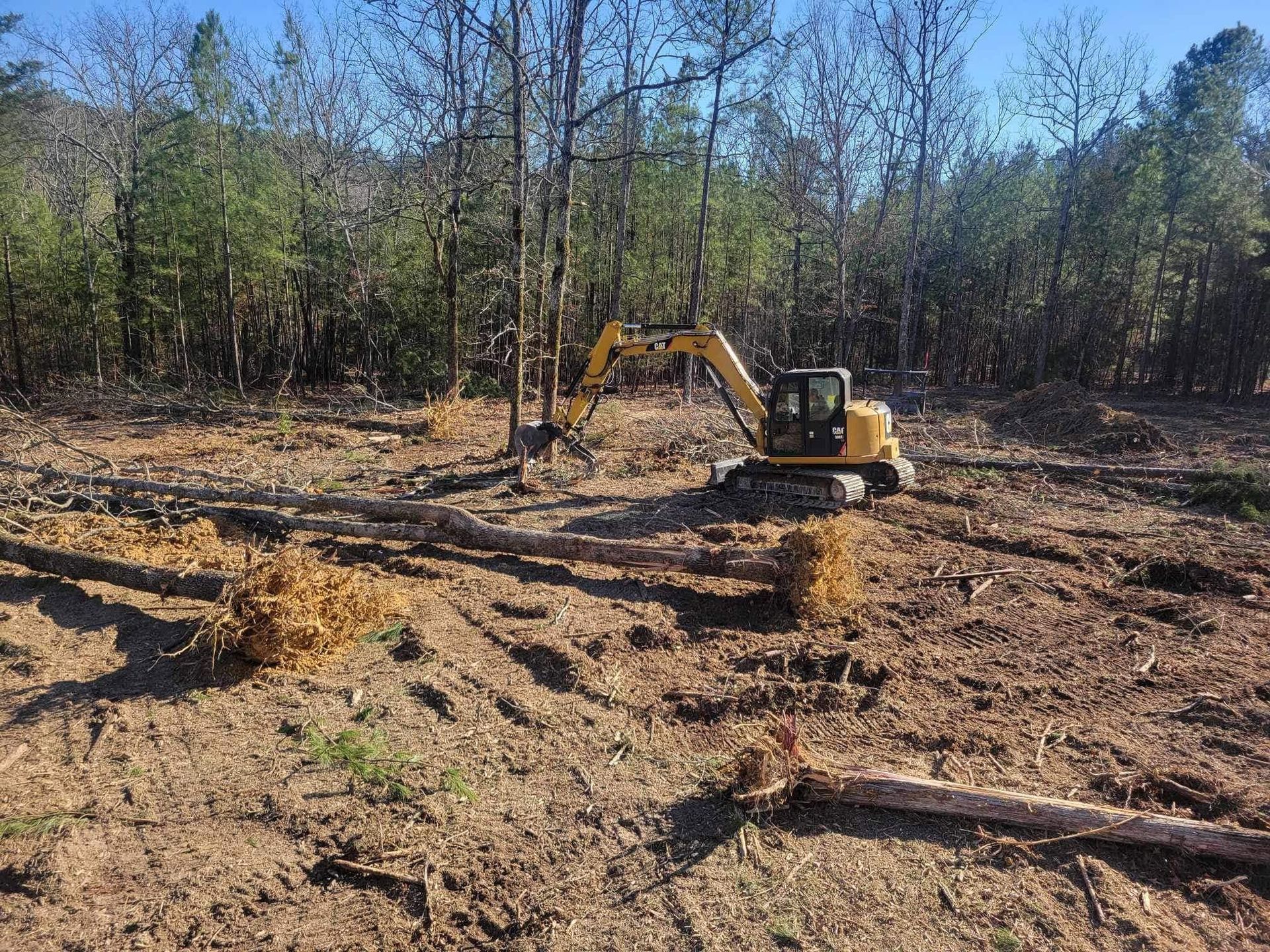 Yellow excavator clearing a wooded dirt lot with felled logs and bare trees