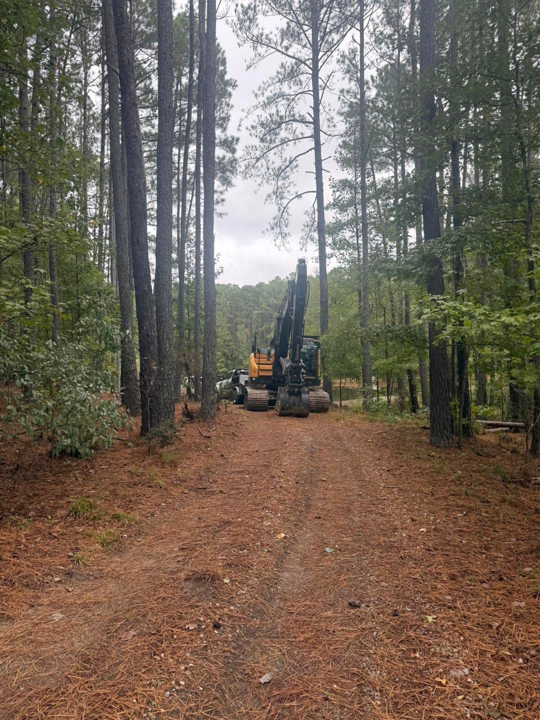 Forested dirt road with a backhoe parked in the center, surrounded by tall trees under an overcast sky