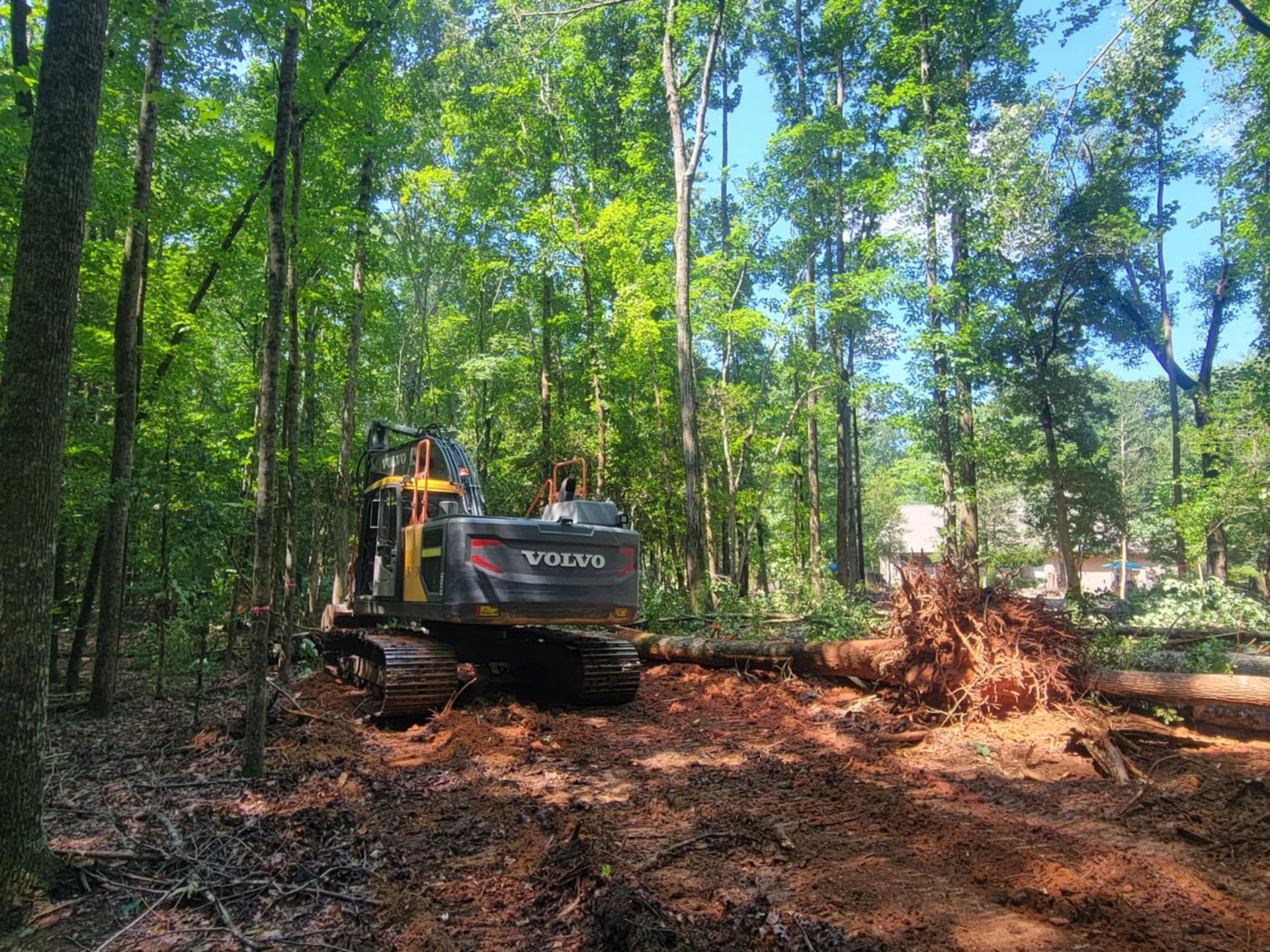 Excavator clearing dirt in a wooded area, with a pile of red soil beside tall green trees.
