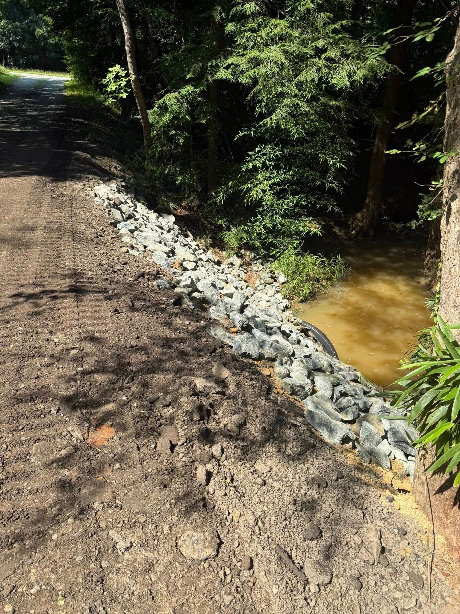 Dirt road beside a shallow muddy creek, lined with rocks and dense green foliage