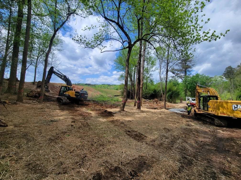 Excavators clearing a wooded dirt lot under a cloudy sky