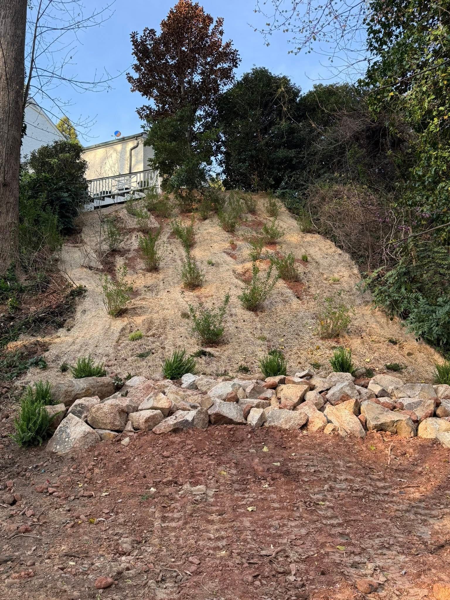 Rocky hillside with sparse shrubs, a stone border, and trees under a clear blue sky.