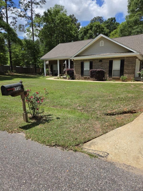 Suburban house with a front yard, driveway, and black mailbox under trees on a sunny day