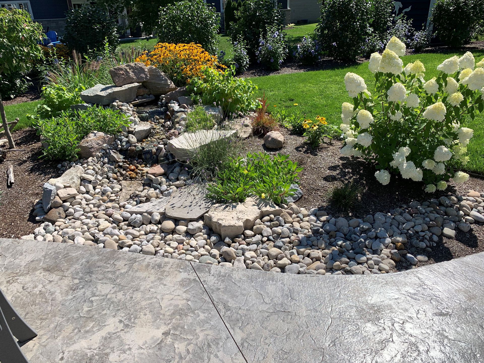 A landscaped garden bed with rocks, plants, and a blooming white hydrangea next to a concrete patio.