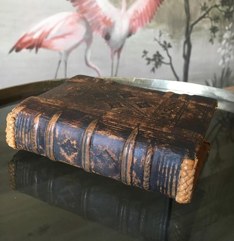 Un livre est posé sur une table avec des flamants roses en arrière-plan