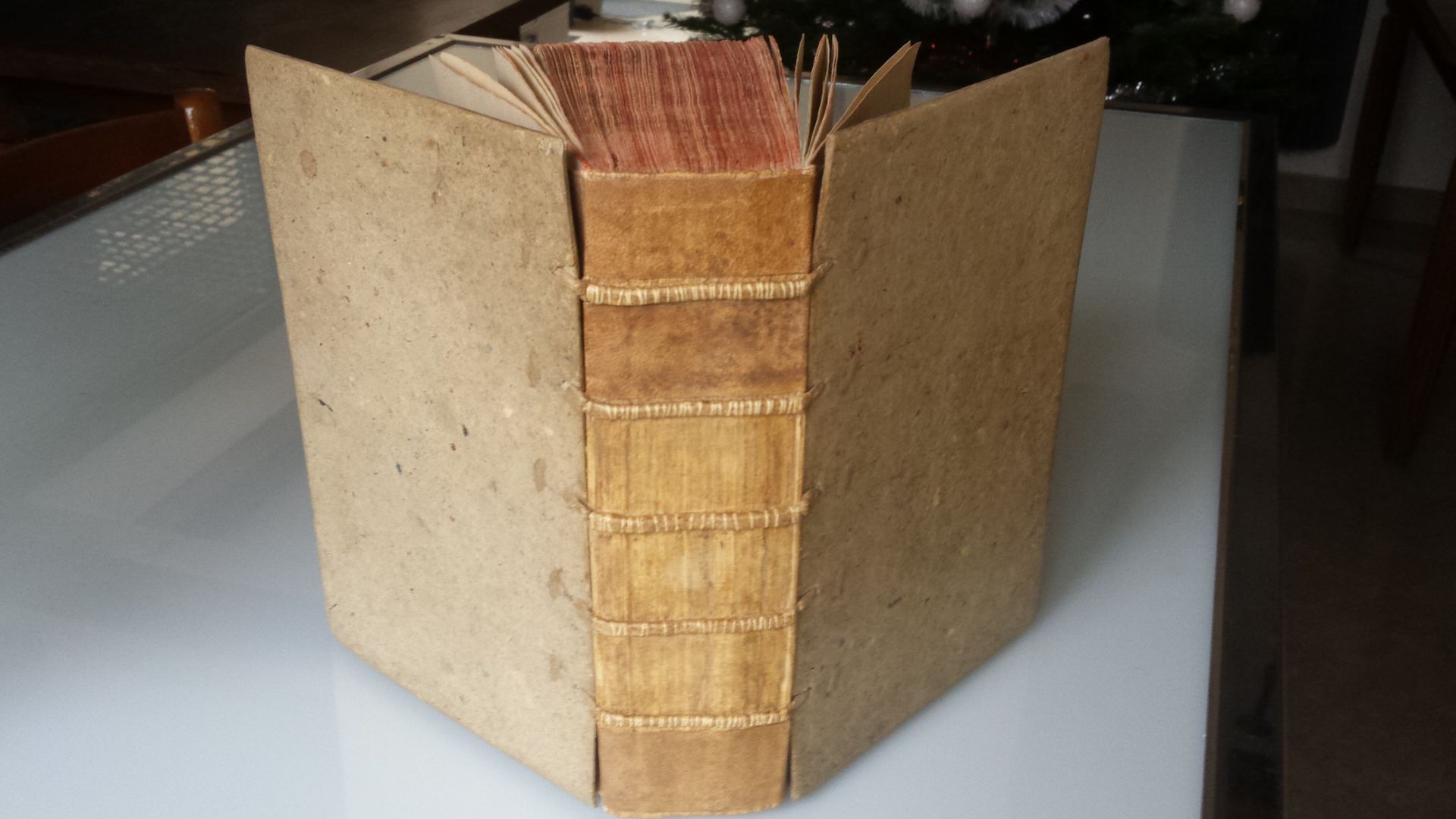 Un livre est posé sur une table avec un sapin de Noël en arrière-plan.