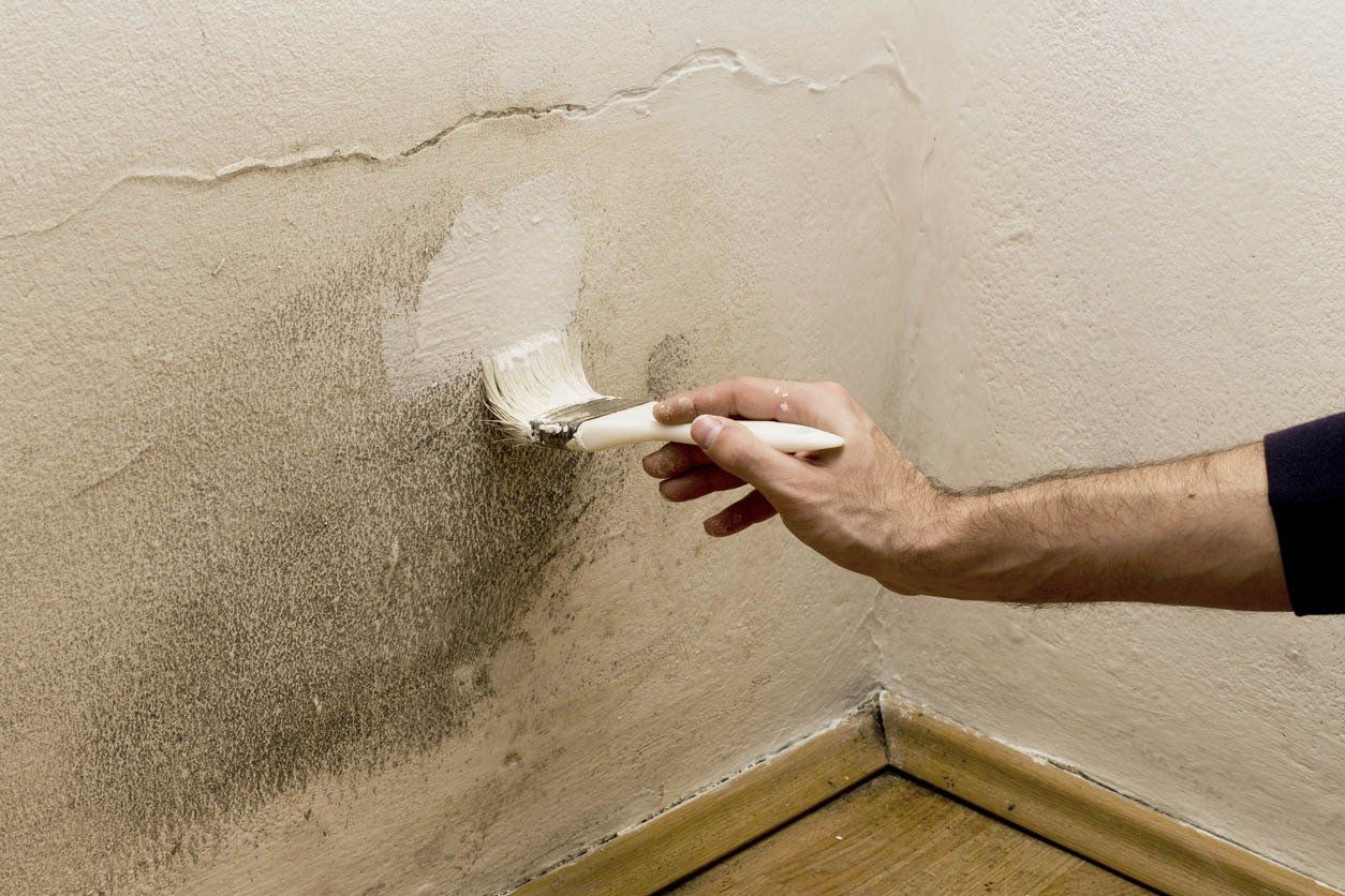 Mold inspection Abbeville, LA