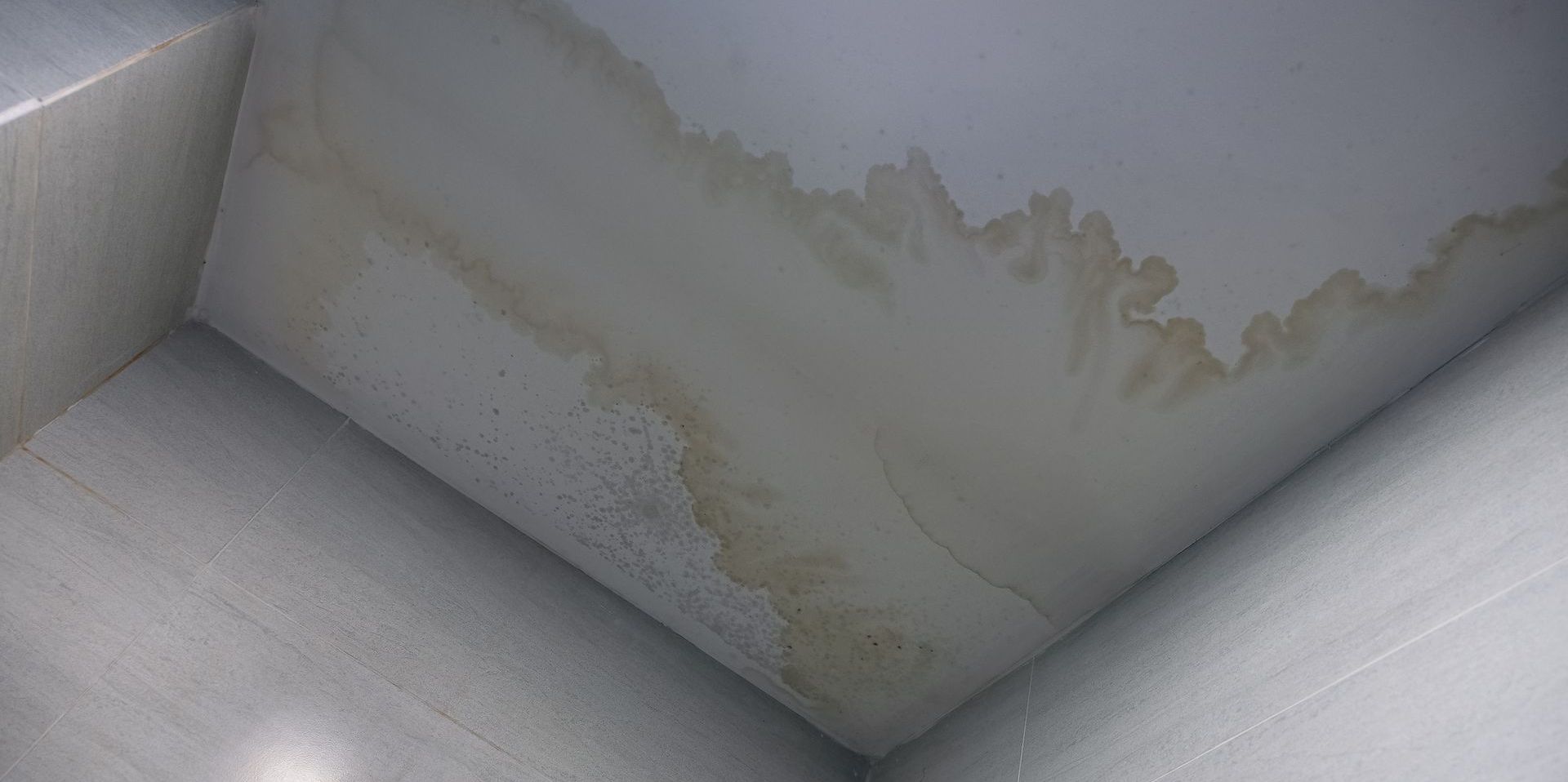 Water stains can often signify water damage and mold, which could pose significant health concerns if not addressed promptly.