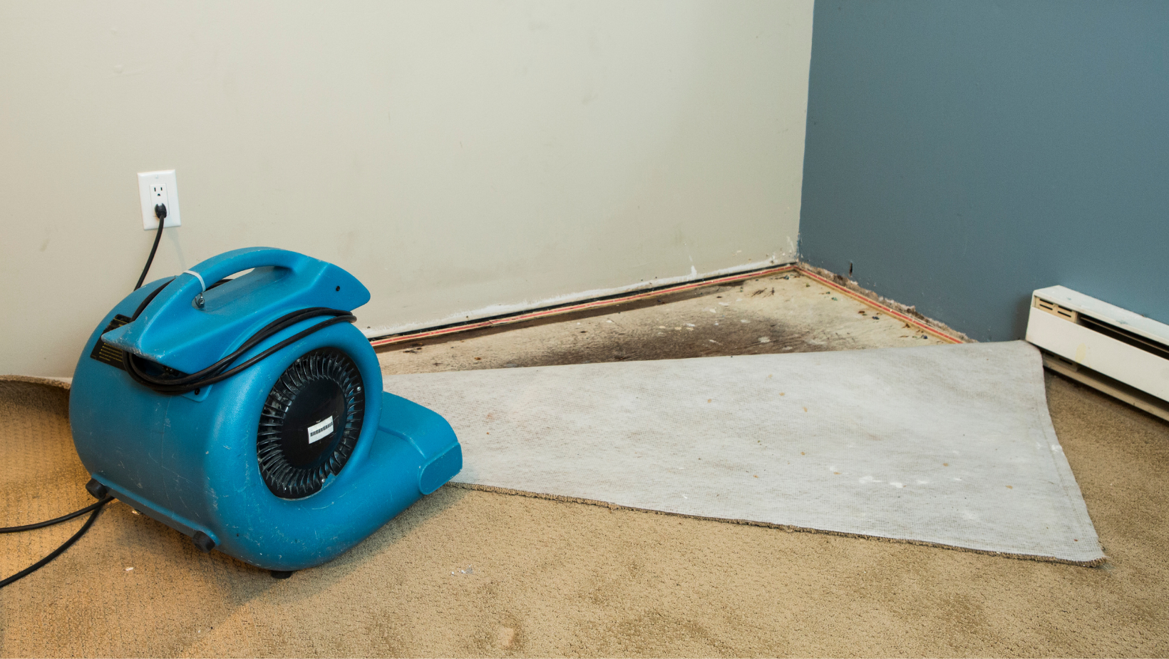 flood damage restoration company Mandeville, LA