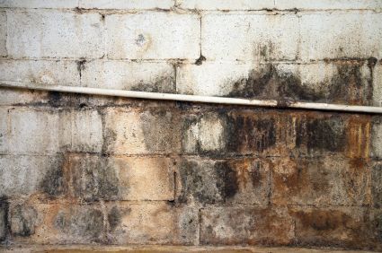 Mold removal Abbeville, LA