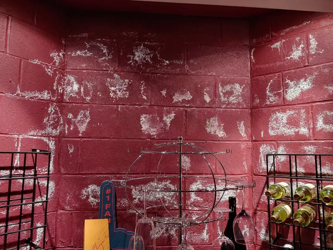 Mold Inspection Alexandria LA