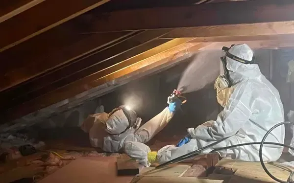 Mold Inspection Baton Rouge