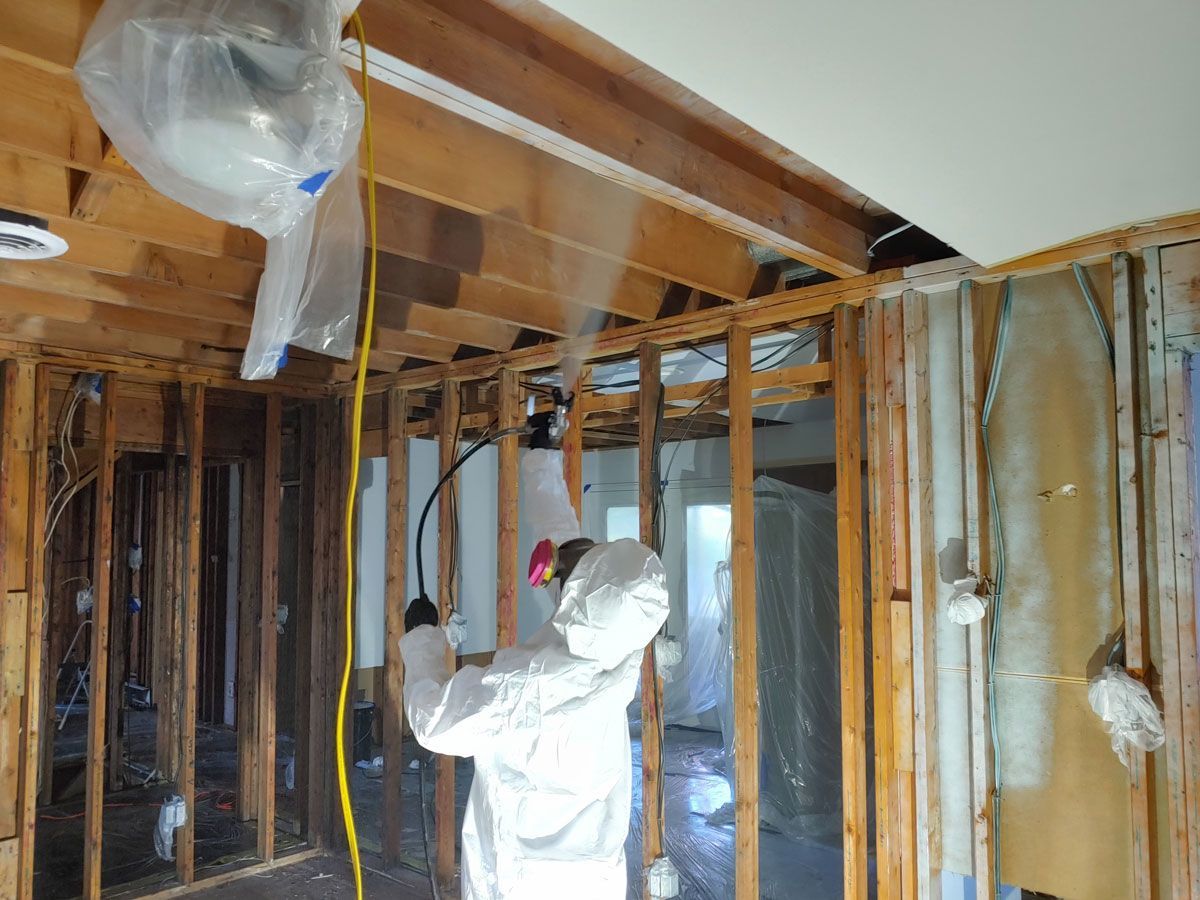 Mold Removal Abbeville LA