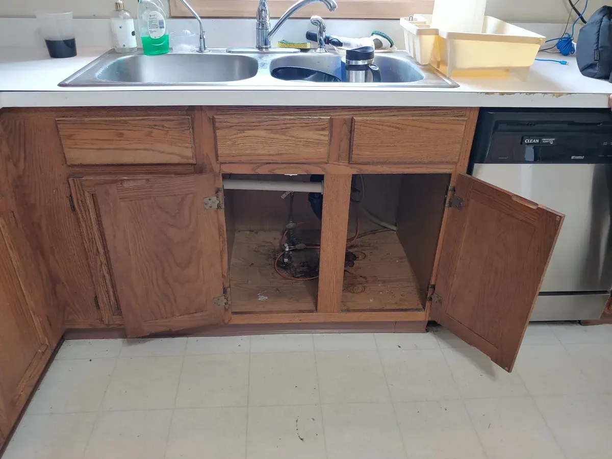 Mold Removal New Iberia LA