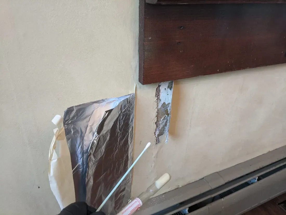 Mold Testing Baton Rouge