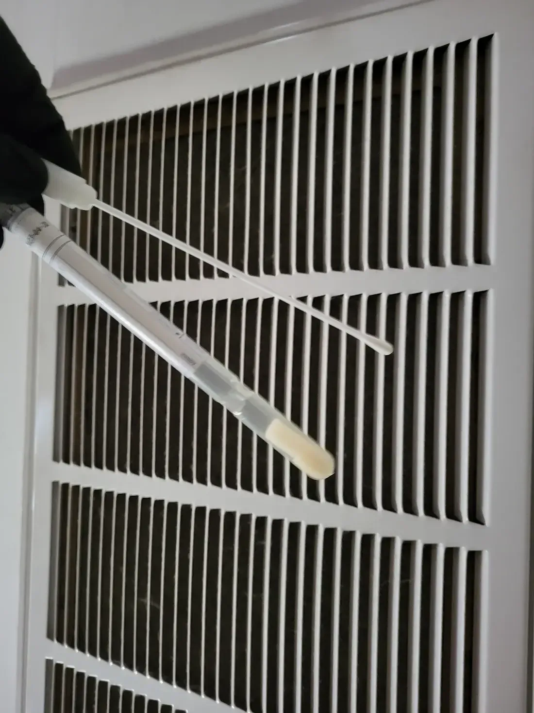 Mold Testing Lafayette