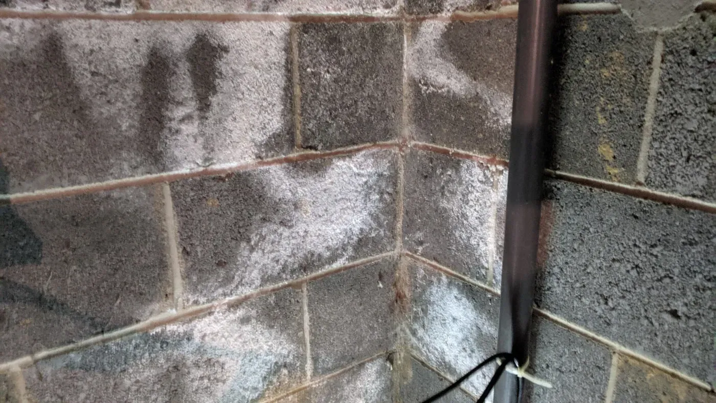 Mold Testing Lafayette LA