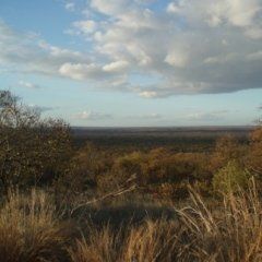 ipocondria