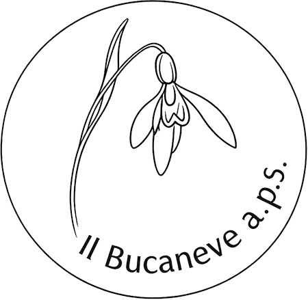 Logo IL BUCANEVE