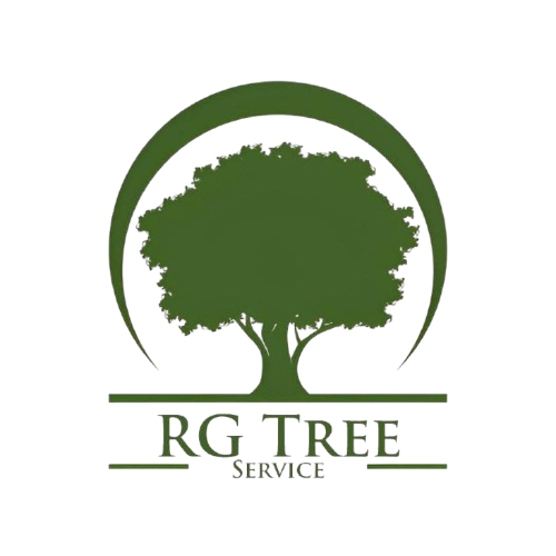 Logo: Dark green tree silhouette within a green arch and above "RG TREE SERVICE."