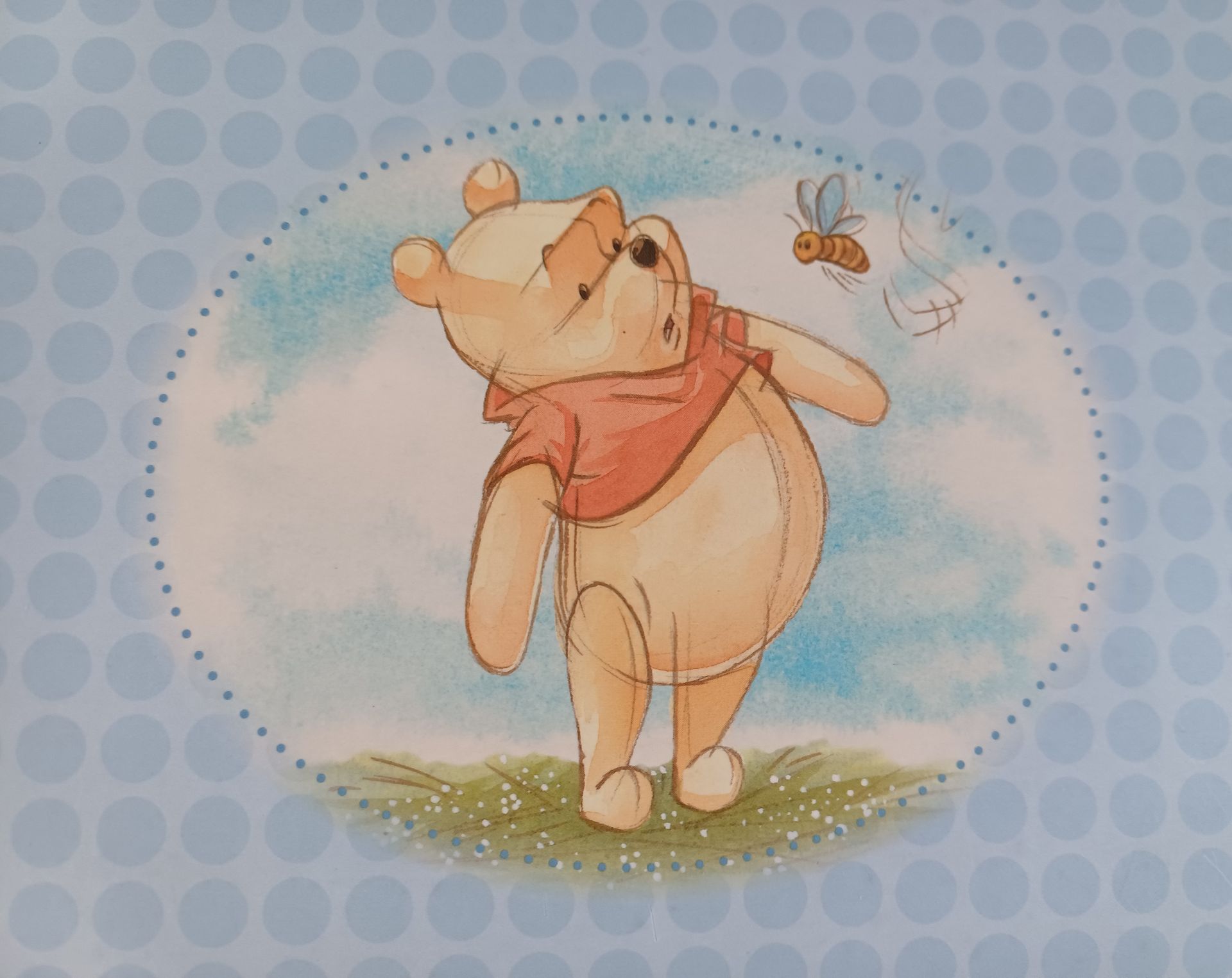 Blauw babyherinneringsboek met Winnie de Poeh en een vlinder.
