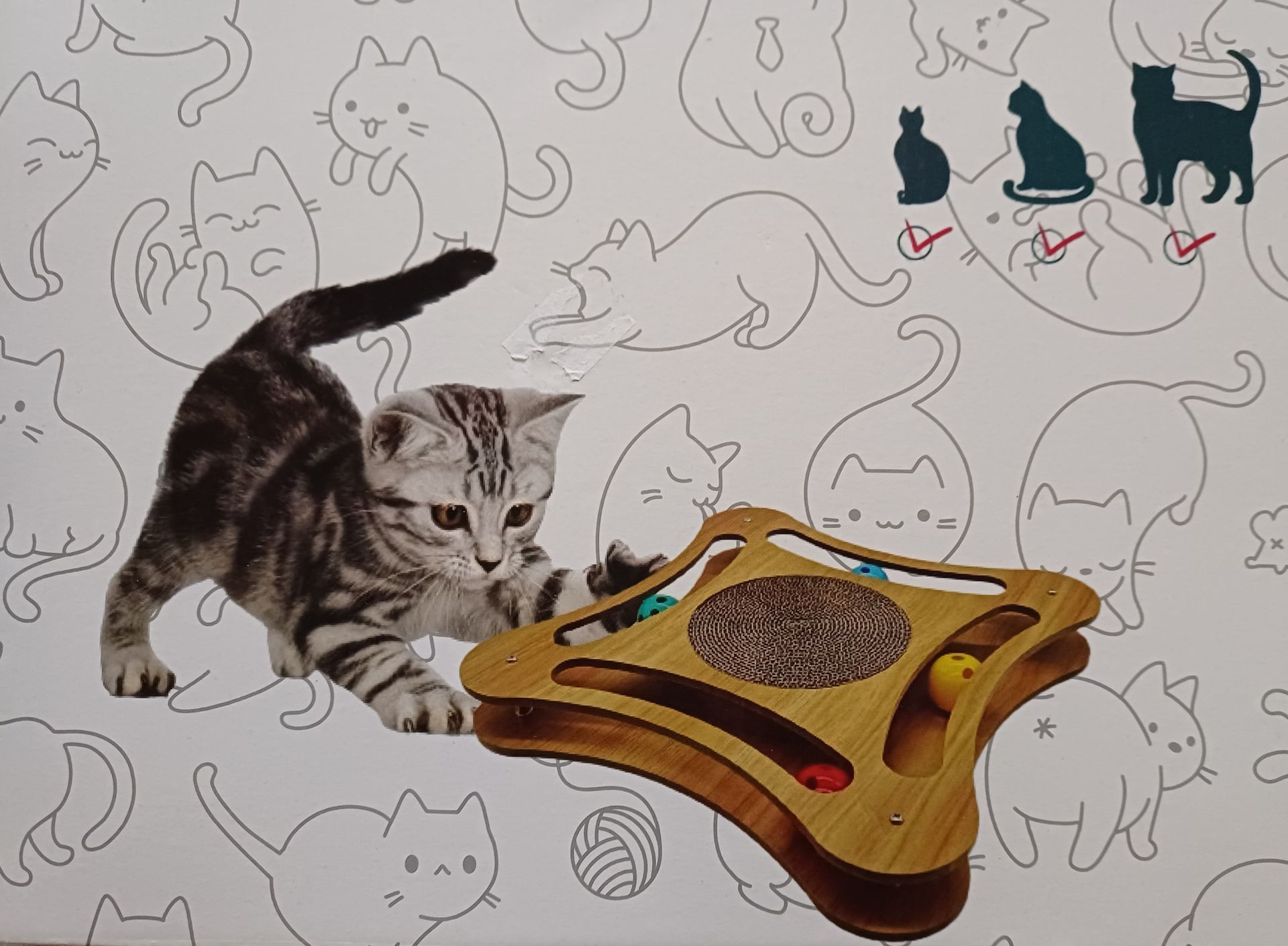 Doos met een kattenspeeltje, waarop een spelend kitten te zien is, en tekst in het Nederlands en Frans.