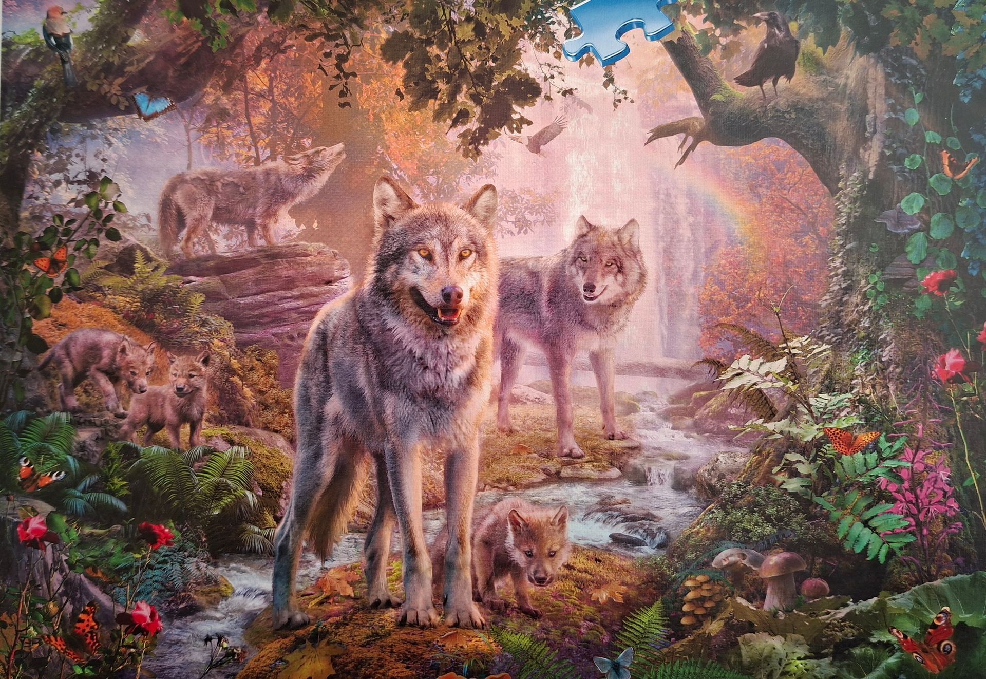 Ravensburger legpuzzel Wolvenfamilie in de zomer - 1000 stukjes