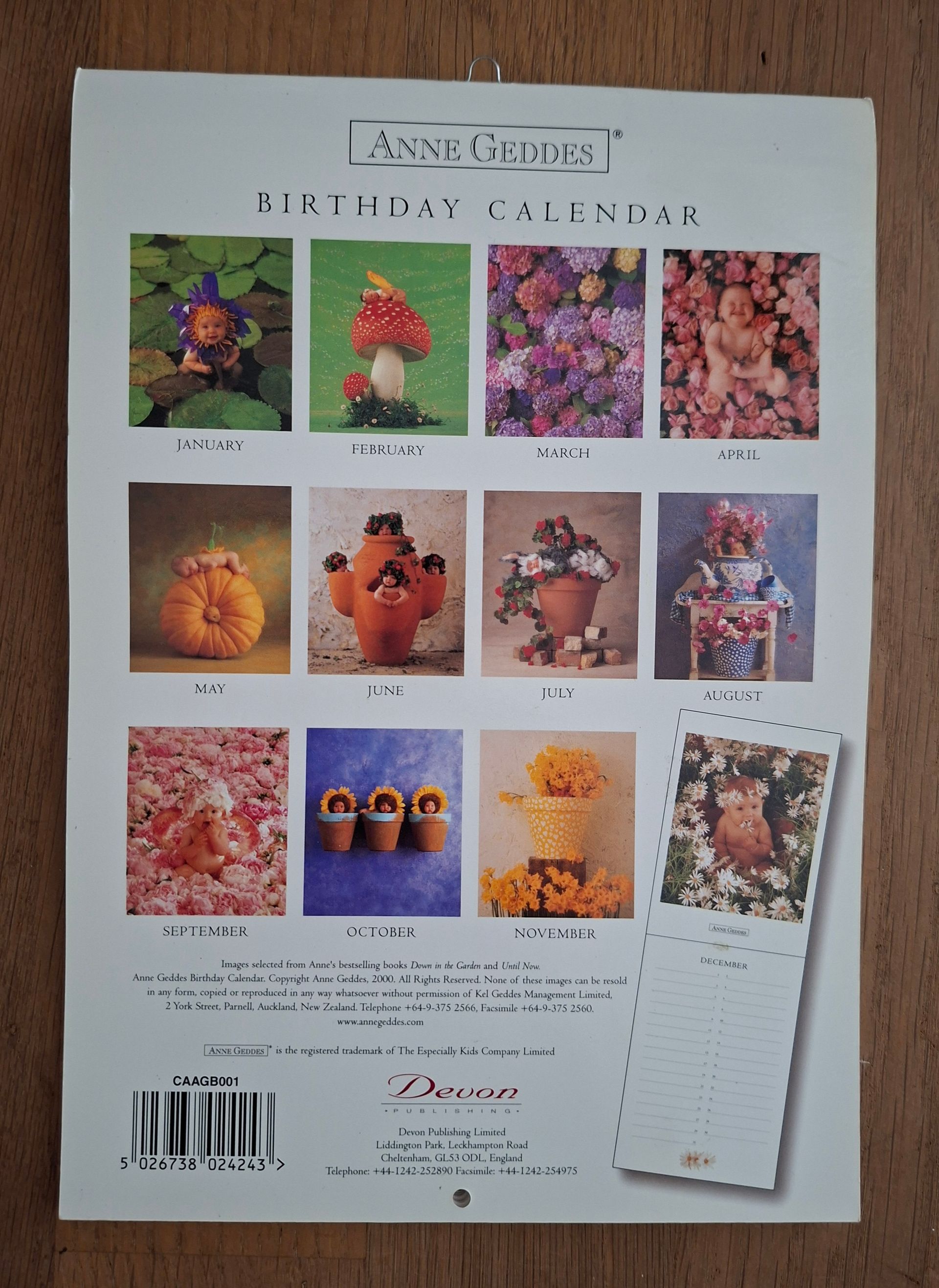 Anne Geddes verjaardagskalender
