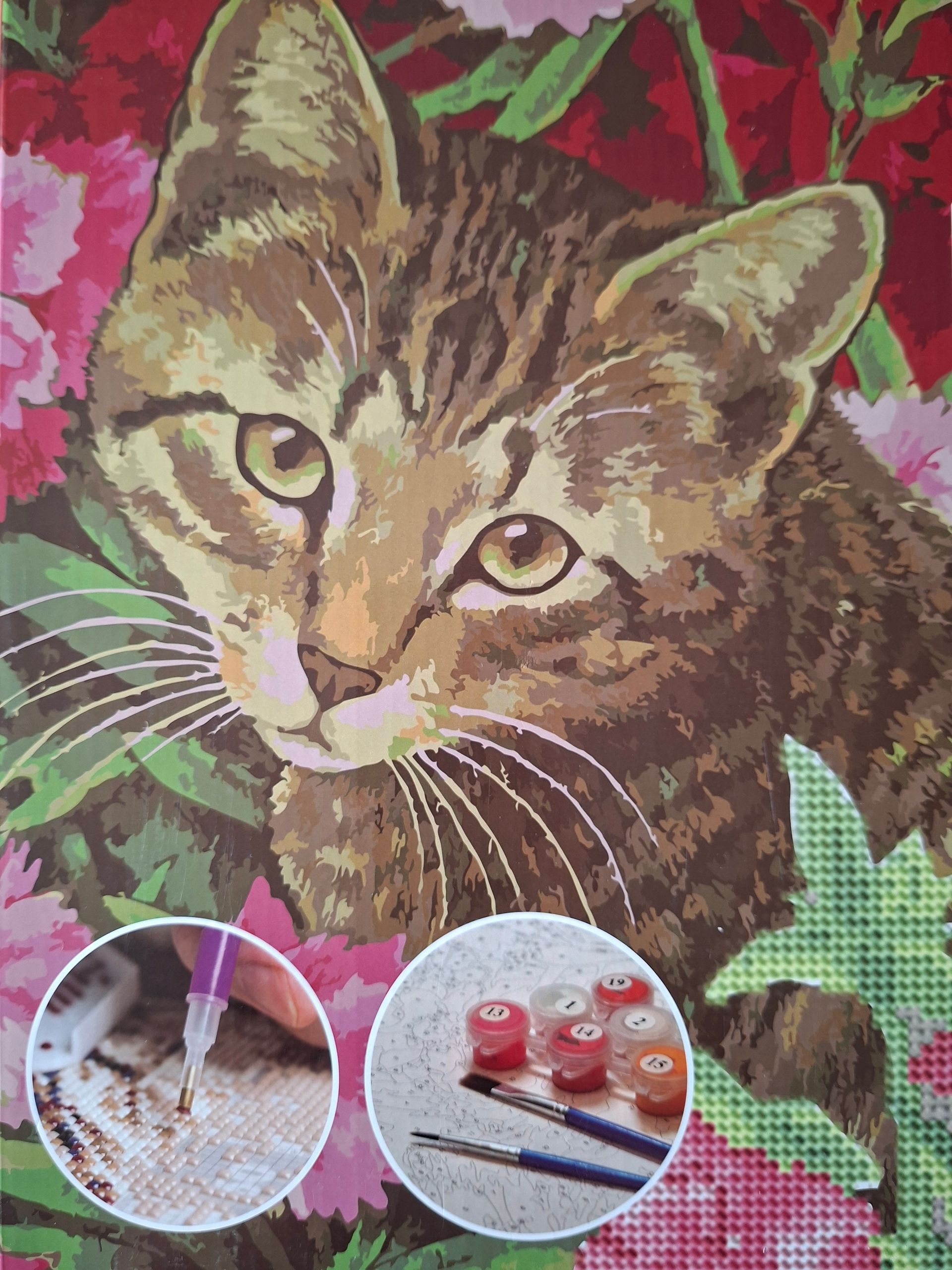 Franciens Katten DIY-pakket Schilderen & Diamanten! - schilderen op nummer en diamond painting