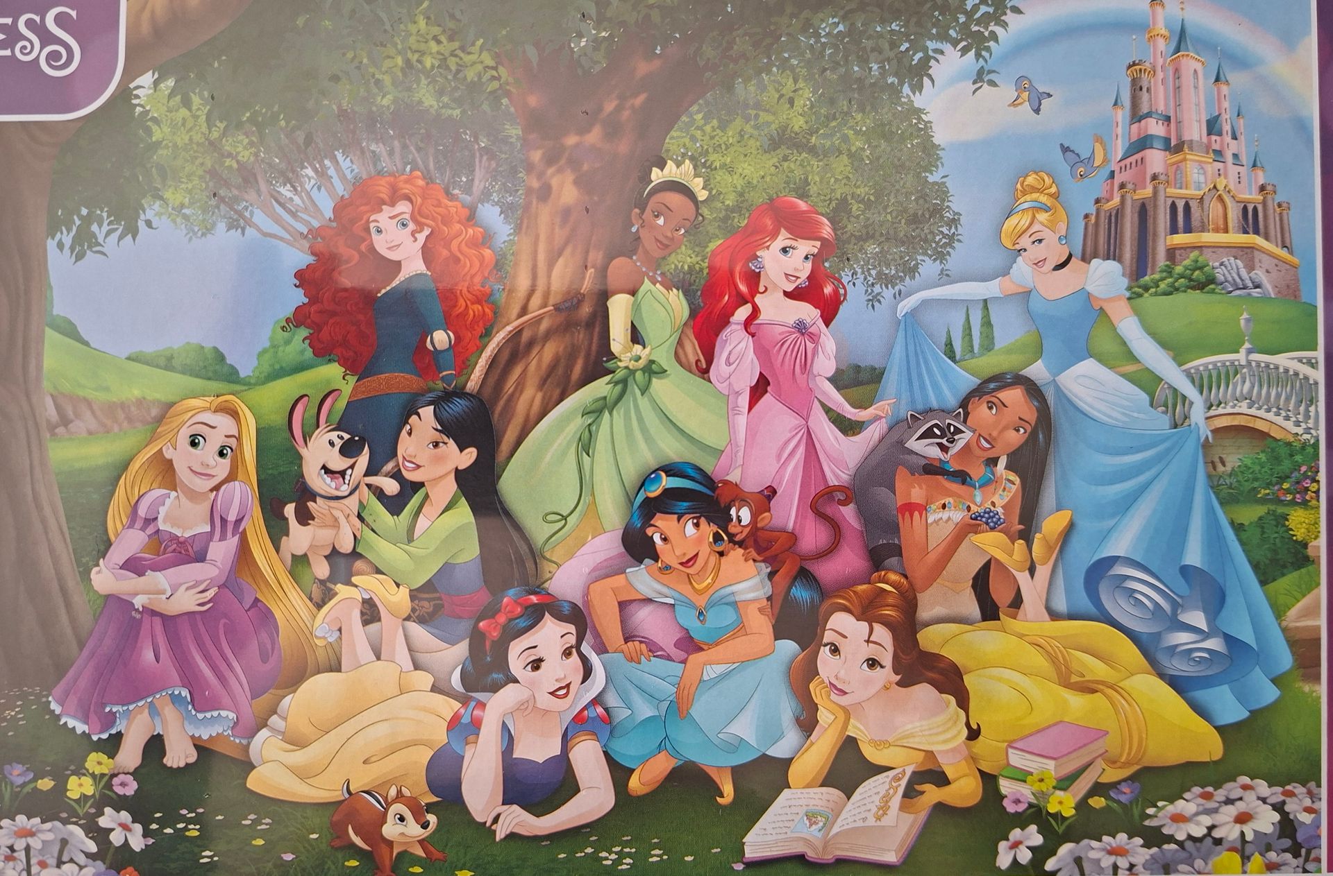 Clementoni Disney Princess legpuzzel - 104 stukjes
