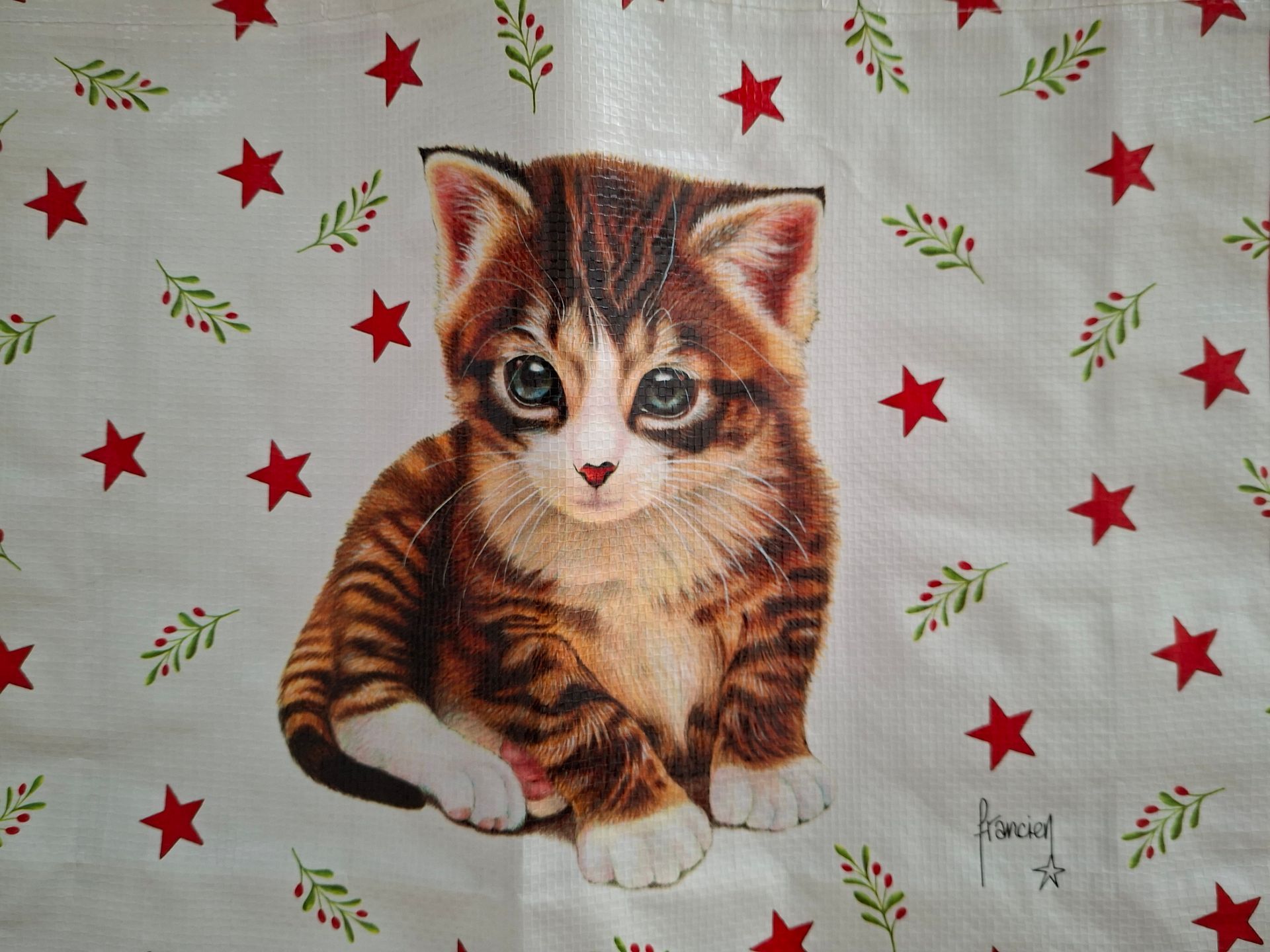 Franciens Katten bigshopper