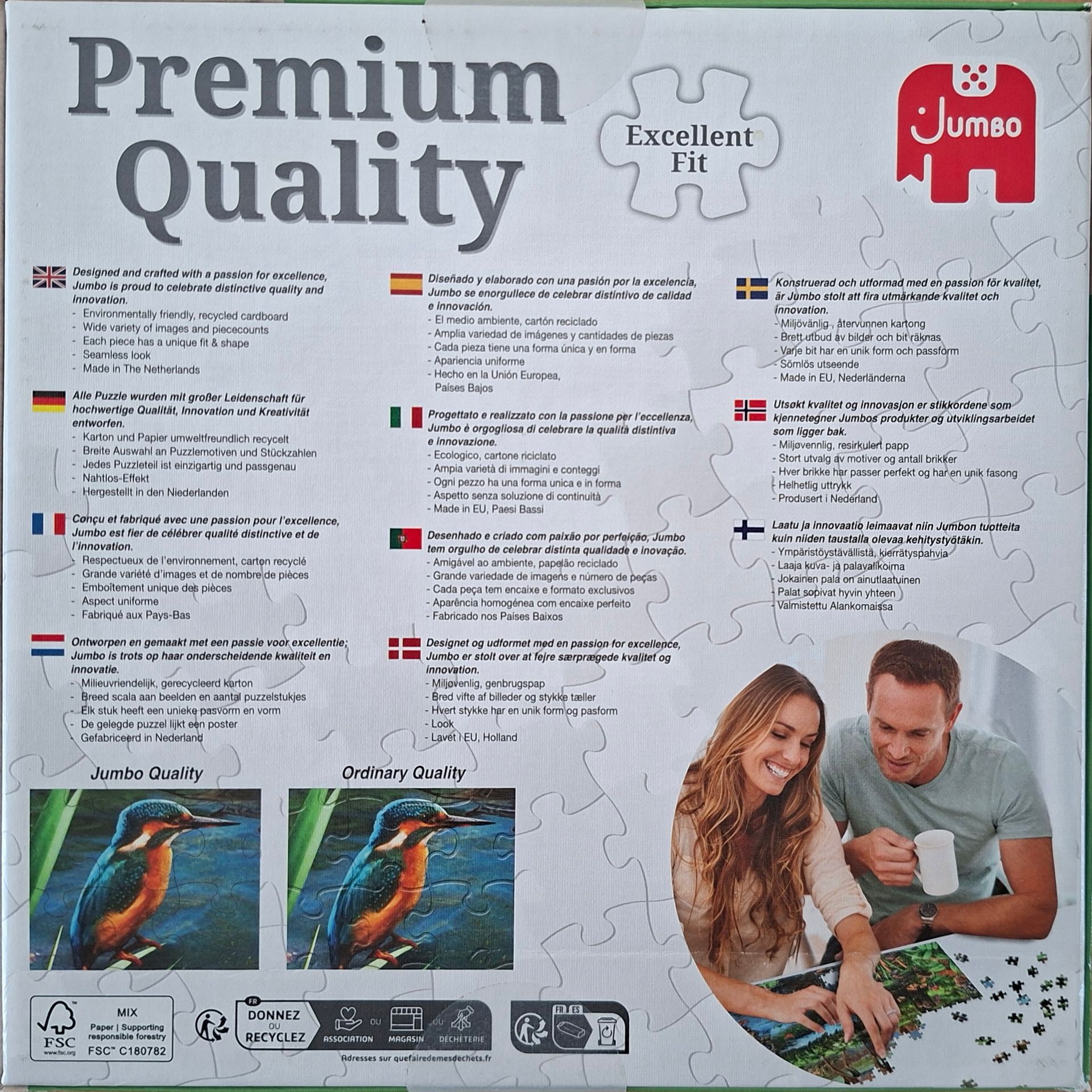 Jumbo legpuzzel Franciens Katten - Cats having a Picnic - 950 stukjes