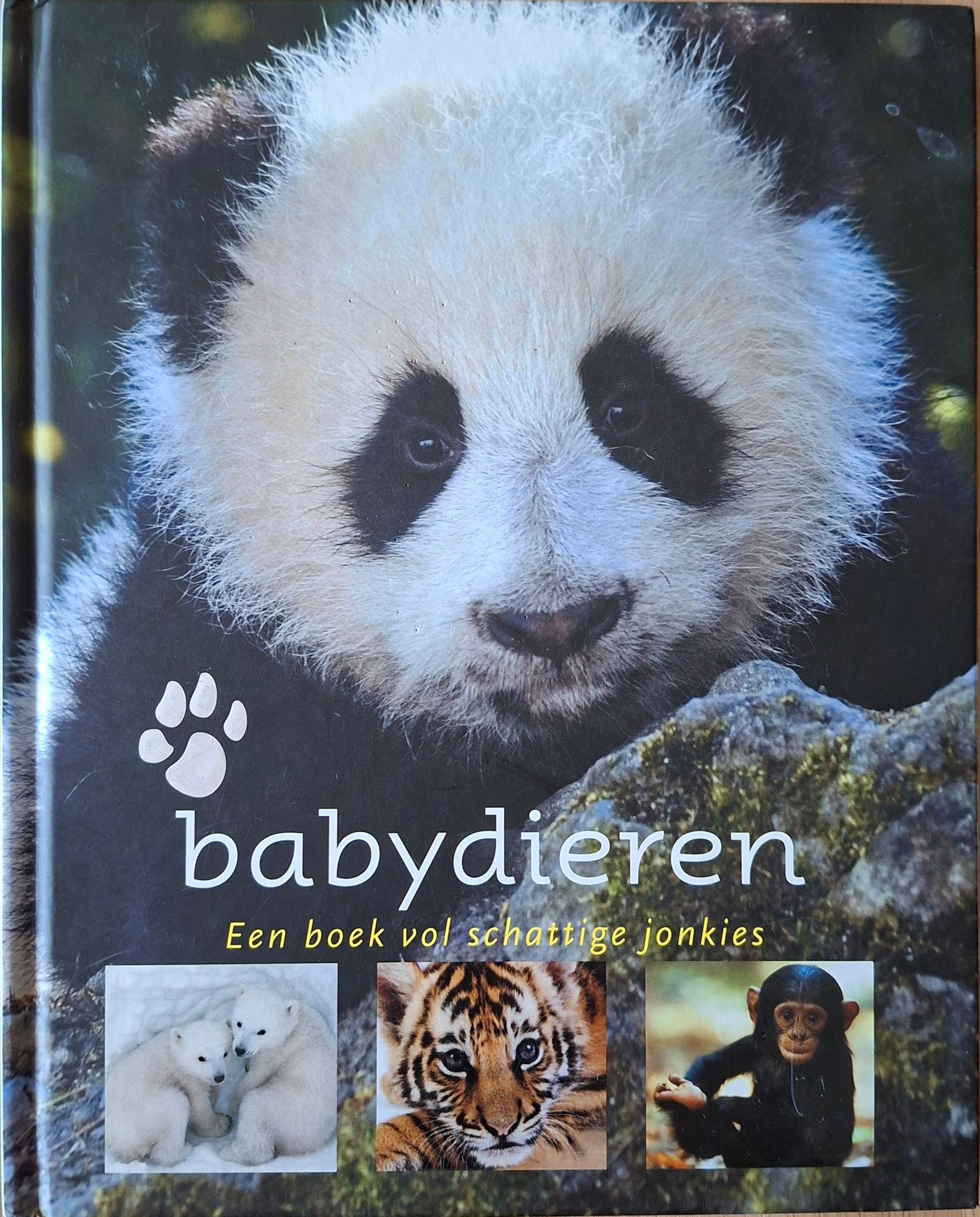 Babydieren: Een boek vol schattige jonkies - Auteur: Daniel Gilpin