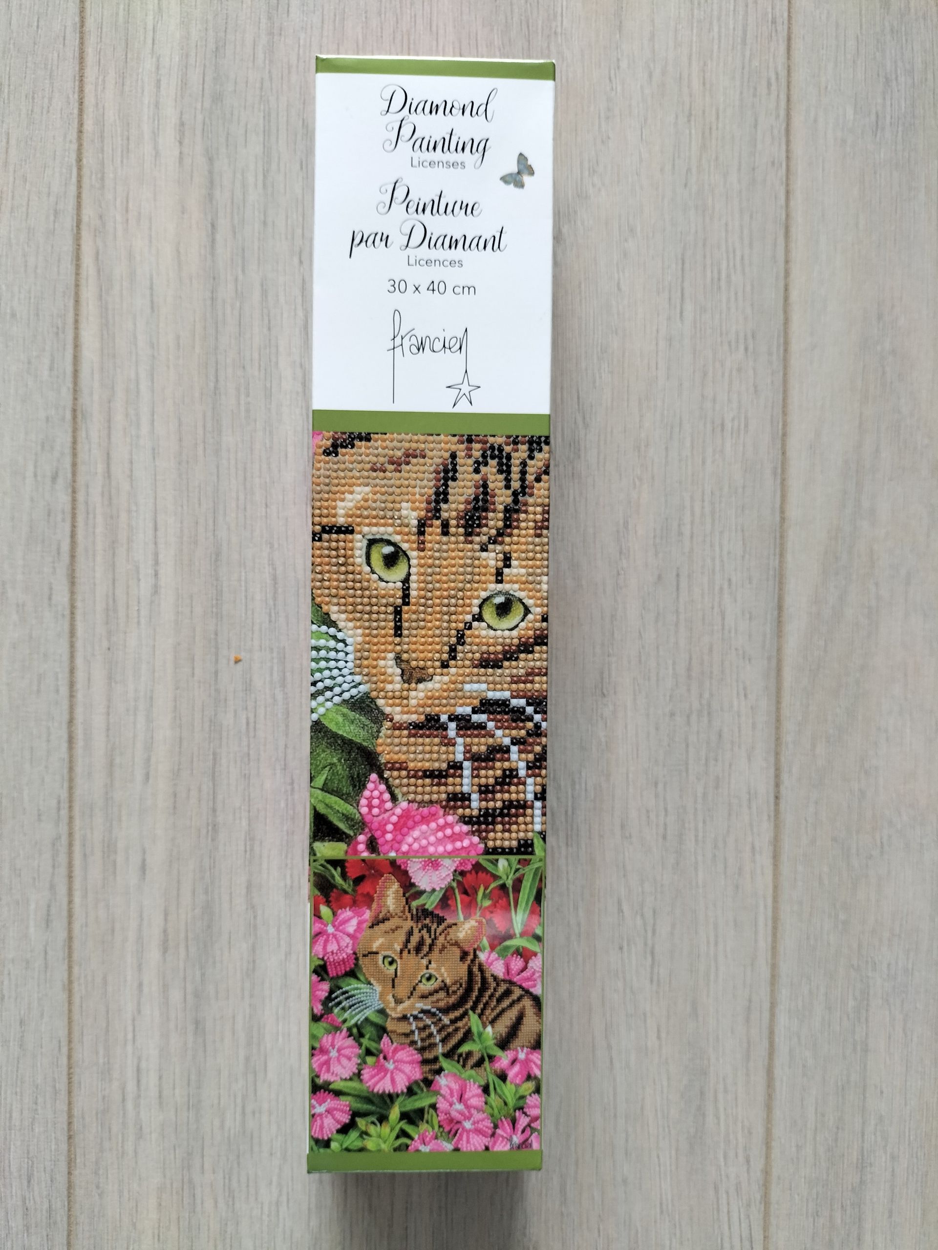 Franciens katten: diamond Painting set met kattenillustratie. Artikelnummer: 2025/1002.