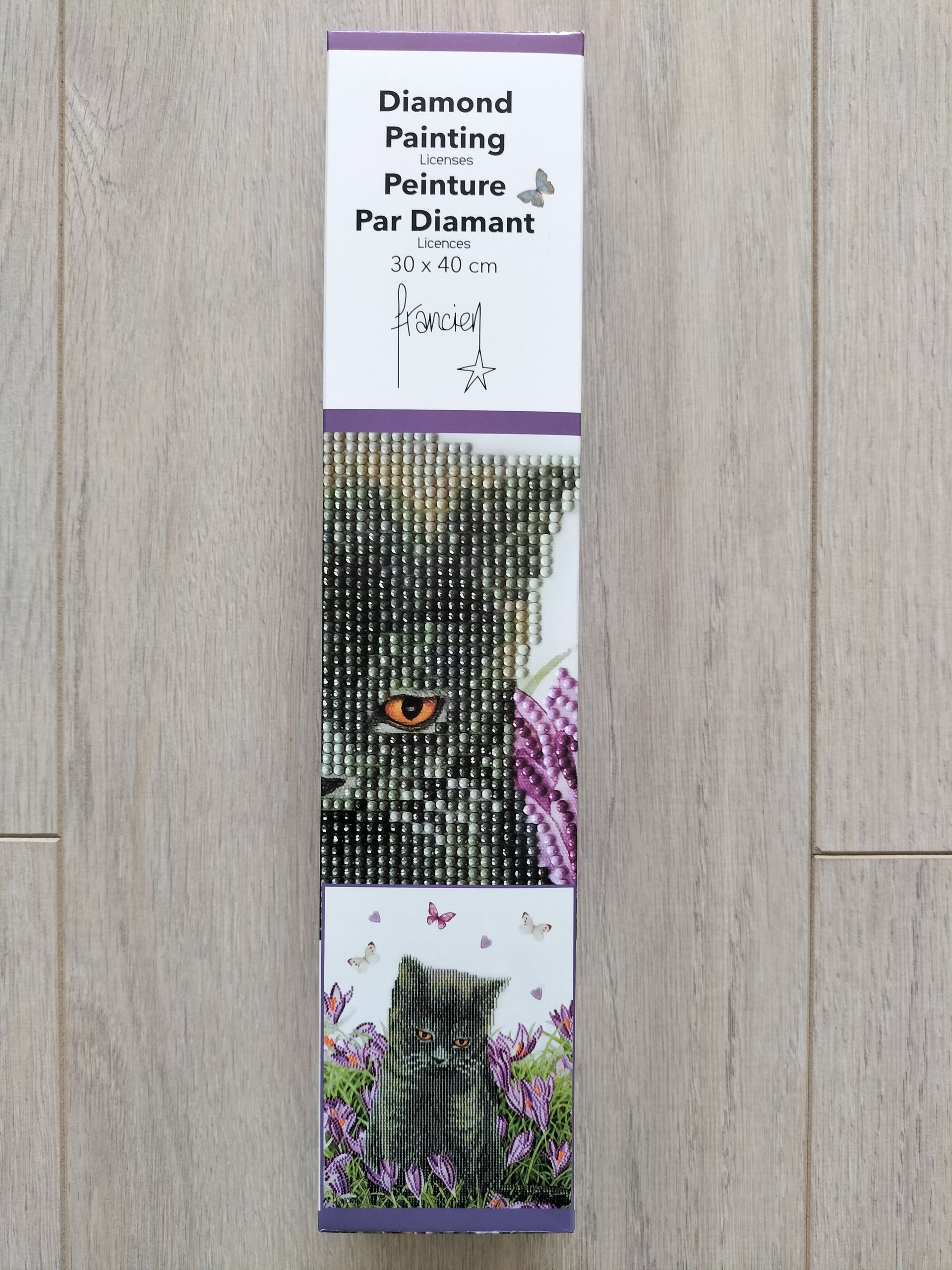 Franciens katten: diamond Painting set met kattenillustratie. Artikelnummer: 2024/1003.