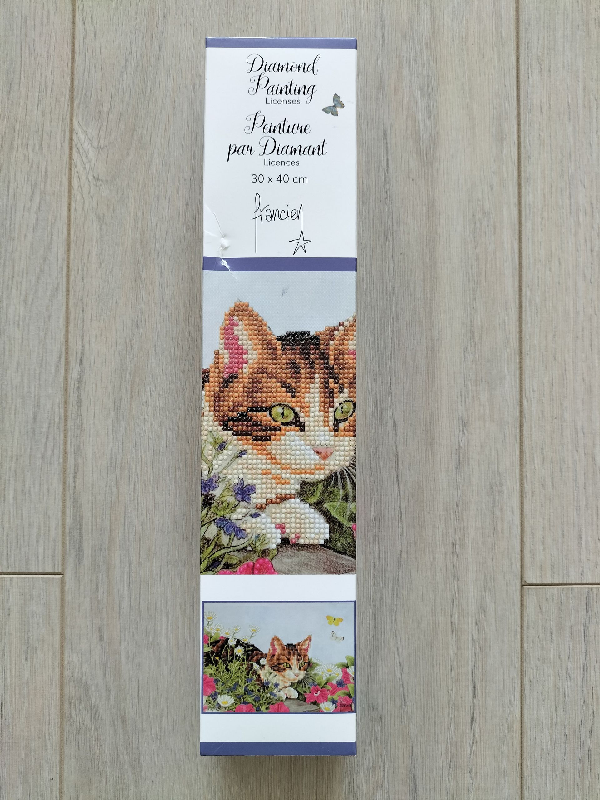Franciens katten: diamond Painting set met kattenillustratie. Artikelnummer: 2025/1001.