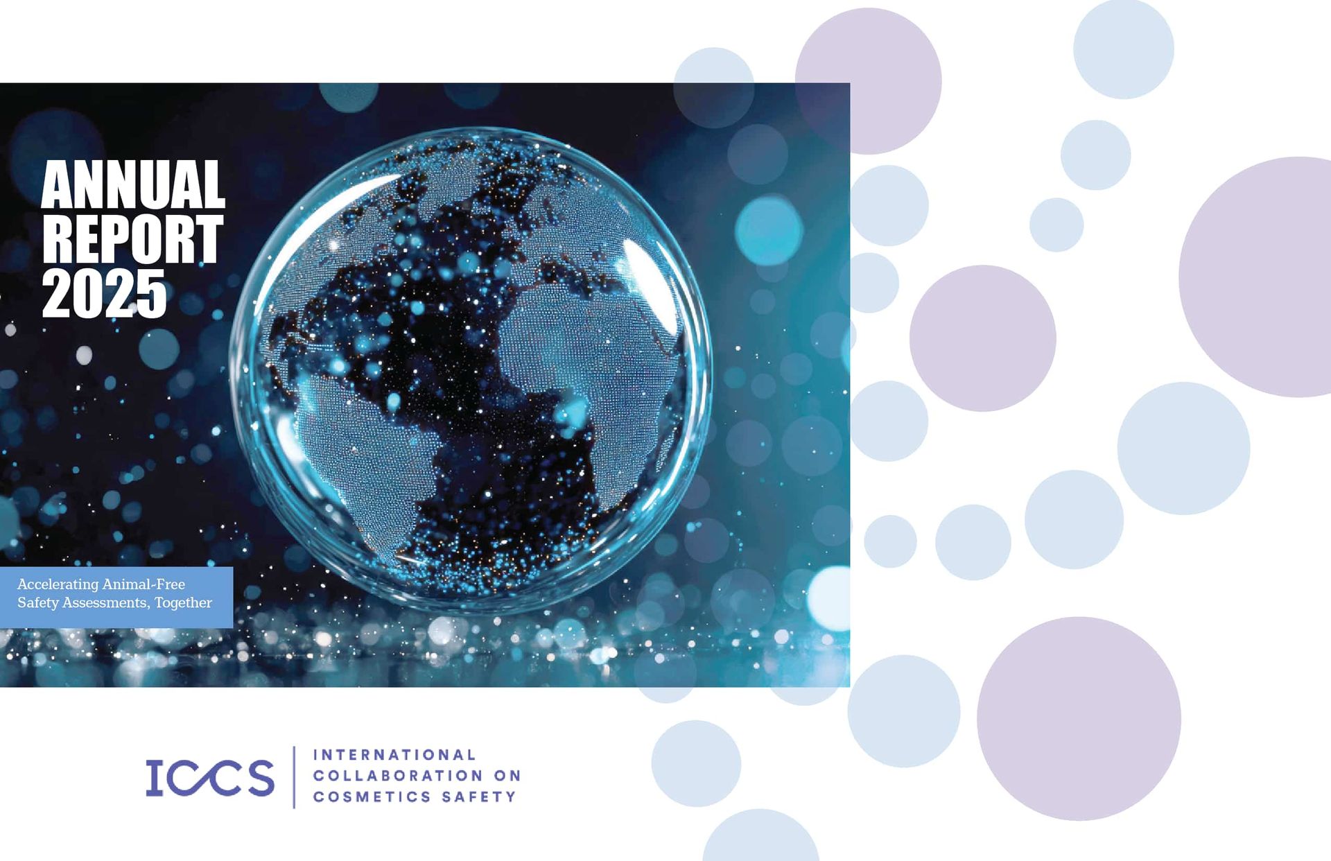 International Collaboration on Cosmetics Safety Annual Report 2025